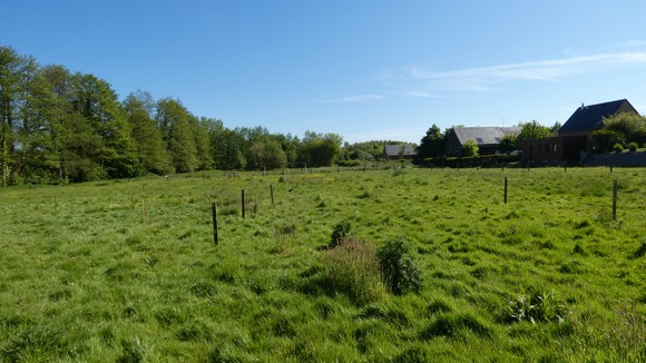 Avant sa mise en culture, le terrain de foot était une prairie naturelle.