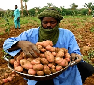 Les bonnes graines de Bernard Jouan, chercheur-paysan sans frontières