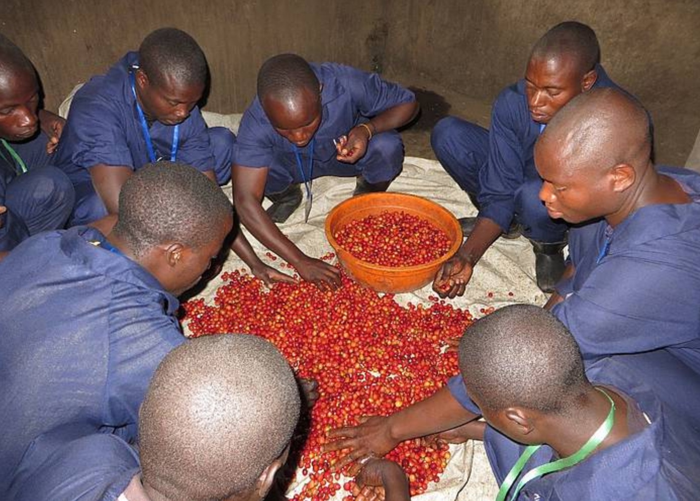 Photo Lobodis. Voir le site. Photo Lobodis. Voir le site.