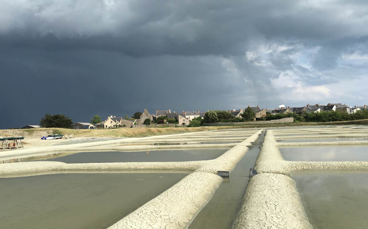 La saline de Charles Perraud (photo : Charles Perraud)