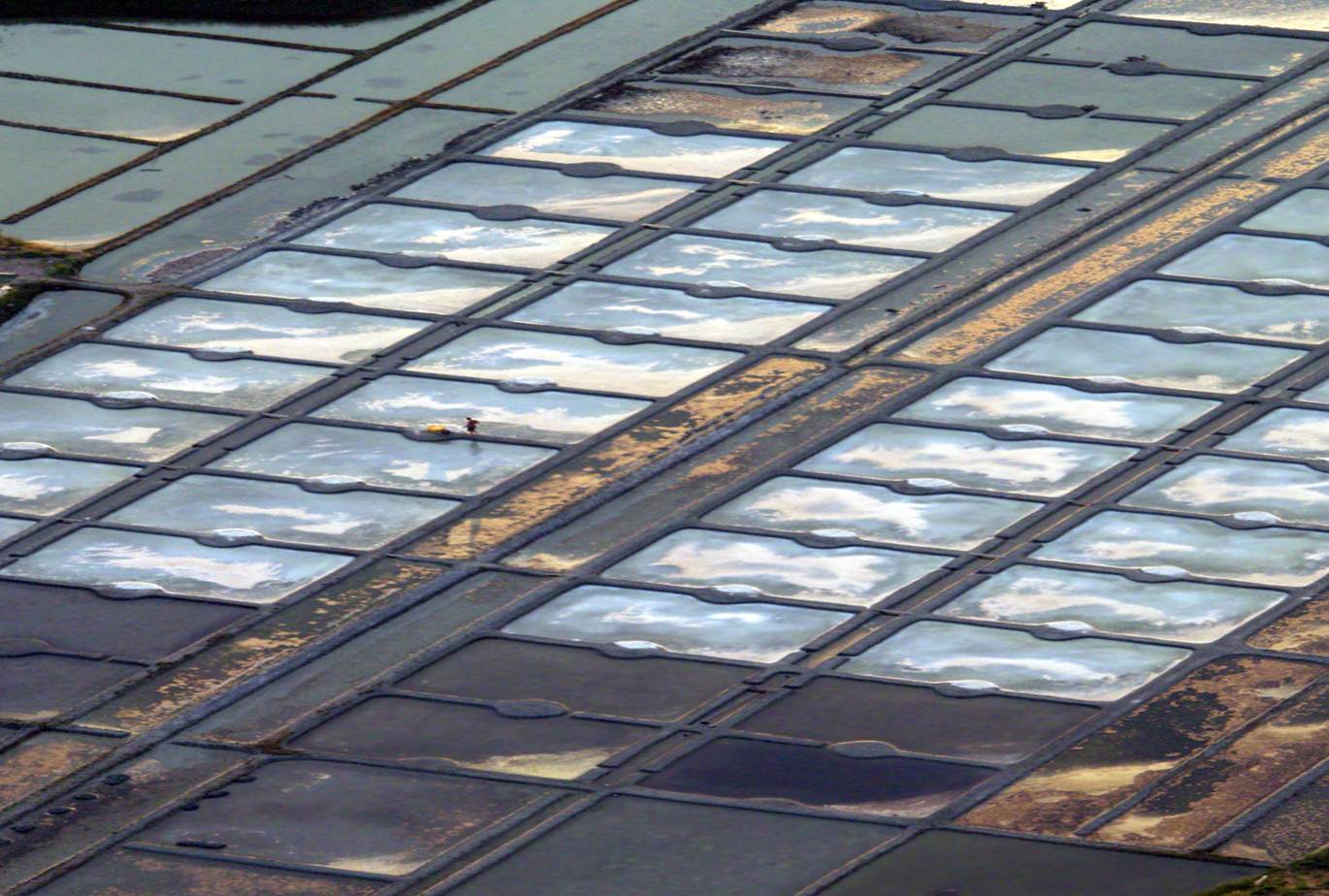 Les salines de Guérande (photo : Charles Perraud)