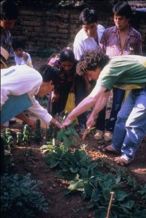 Implantation du premier jardin à Chinique au Guatemala (photo : JP Nicolas).