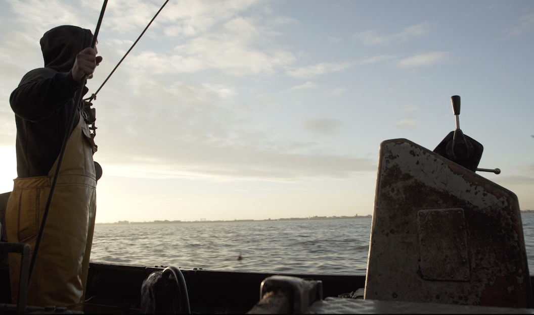 Documentaire : la lutte puis la victoire contre la pêche électrique