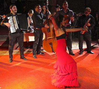 Alexandre Romanès, Tsigane et homme libre Alexandre Romanès, Tsigane et homme libre