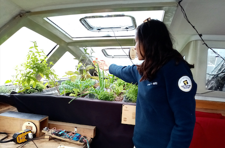 Jardin hydroponique © Rémi Mer Jardin hydroponique © Rémi Mer