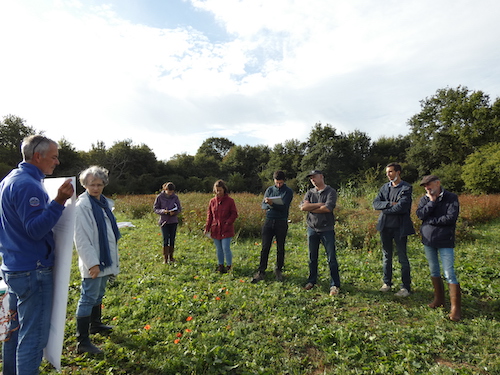 Les utilisateurs de semences anciennes échangent leur savoir-faire Les utilisateurs de semences anciennes échangent leur savoir-faire