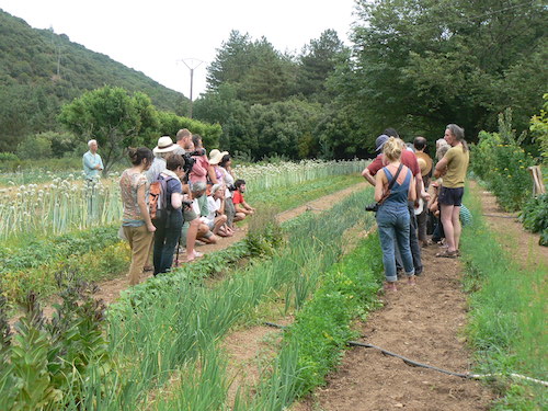 Expérimenter différentes variétés de semences biologiques Expérimenter différentes variétés de semences biologiques