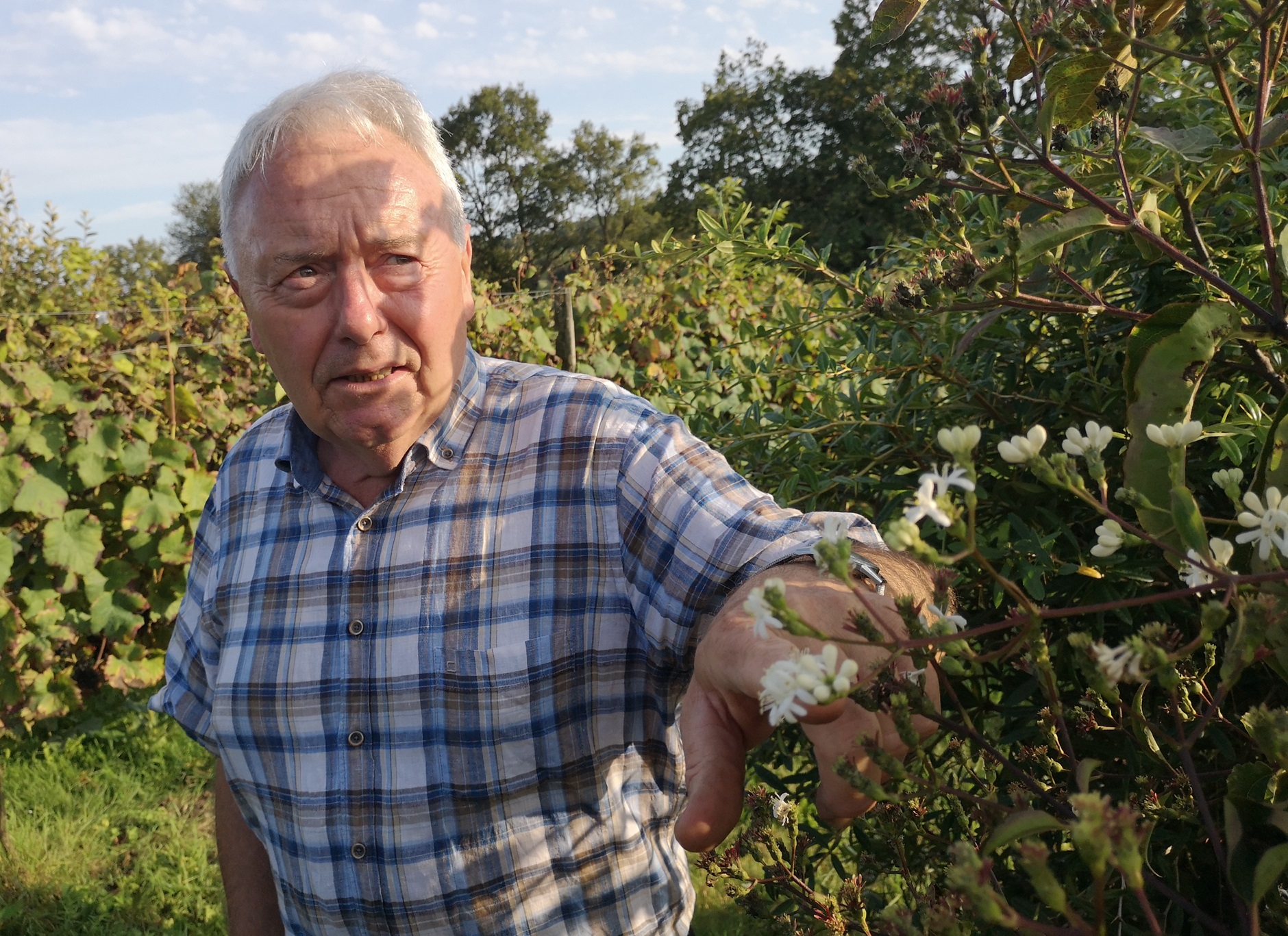 Yves Darricau, butineur, infatigable planteur d’arbres