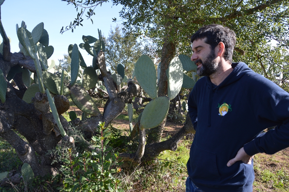 Michele Russo : «sur 10 mètres carrés on trouve 50 ou 60 plantes différentes».