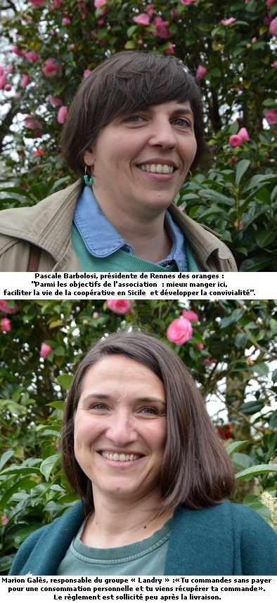 En Sicile, « les poules heureuses » produisent des oranges En Sicile, « les poules heureuses » produisent des oranges