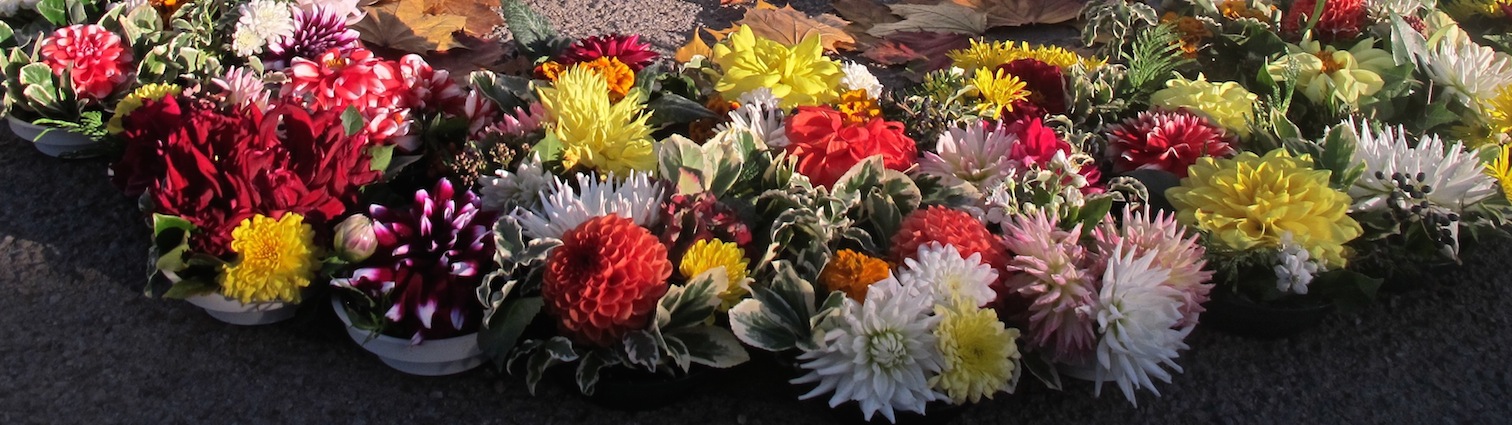 La Toussaint des amis des morts de la rue La Toussaint des amis des morts de la rue