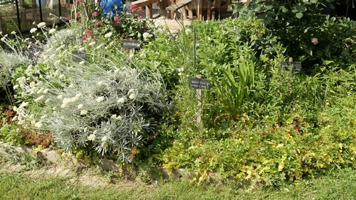Les fleurs, plantes médicinales et alimentaires cohabitent. Les fleurs, plantes médicinales et alimentaires cohabitent.