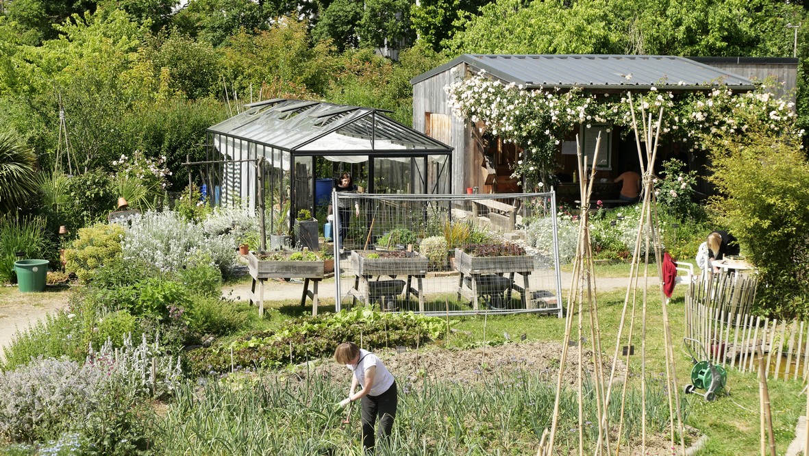 Le jardin permet de cultiver et de goûter des légumes peu classiques Le jardin permet de cultiver et de goûter des légumes peu classiques