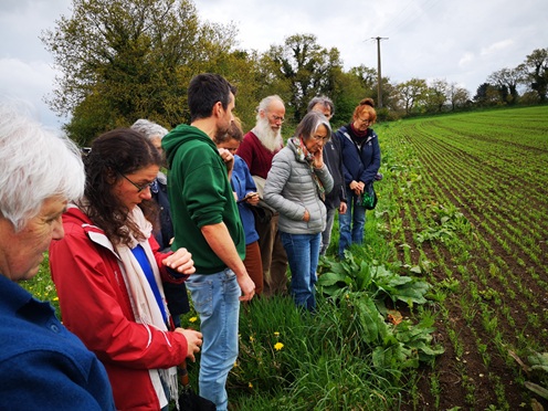 Apprendre à cultiver, de la graine à la graine. Apprendre à cultiver, de la graine à la graine.