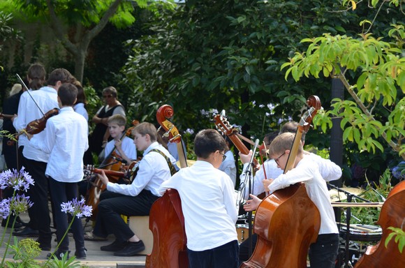 Un concert dans l'arrière cour du bar/cantine. 