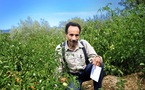 Pierre Rabhi, défricheur de l’agroécologie