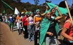 La lutte de Via Campesina en vidéo