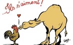 Des dessins de presse à la BNF