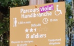 Sur Handirect, le premier parcours handibranche en France