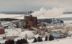 Le Racisme environnemental ou l'empoisonnement des minorités Le Racisme environnemental ou l'empoisonnement des minorités
