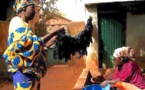 Le sac plastique, l'or noir des femmes de Bobo-Dioulasso