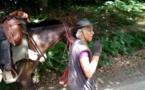 Viviane fait le tour de France avec Tina, sa mule.