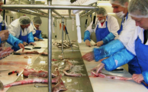 A l'atelier de Lorient © Les Paniers de la mer