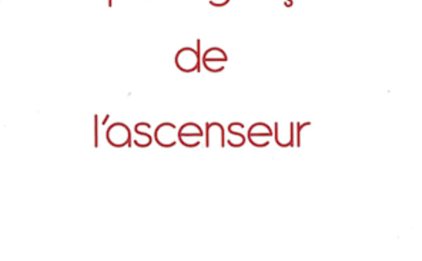 Livres : "Le petit garçon de l'ascenseur"... social