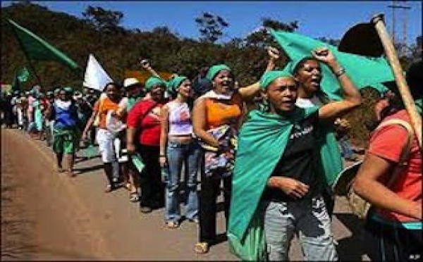 La lutte de Via Campesina en vidéo
