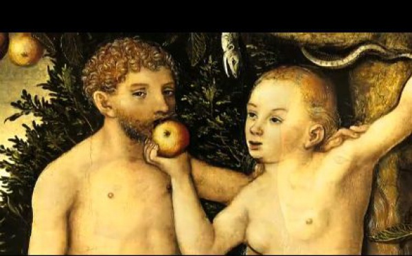 Aux origines de la pomme...