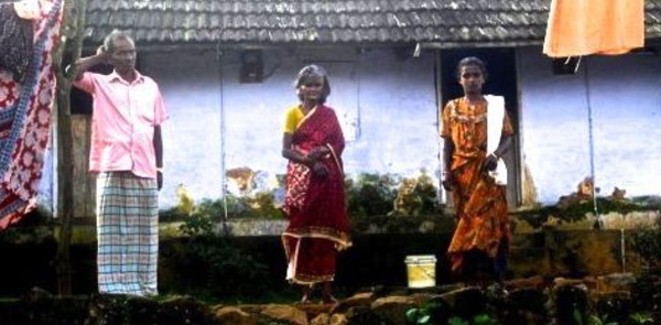 L'exploitation féodale des cueilleurs de thé indiens