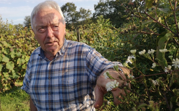 Yves Darricau, butineur, infatigable planteur d’arbres