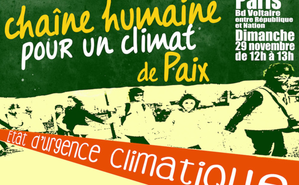 Etat d'urgence climatique : la mobilisation malgré tout