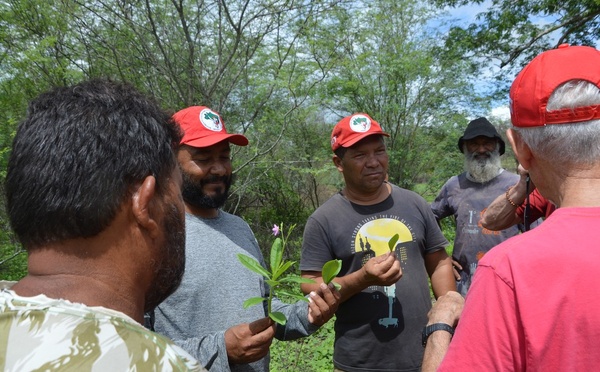 Uma ocupação do Movimento Sem Terra no Brasil.