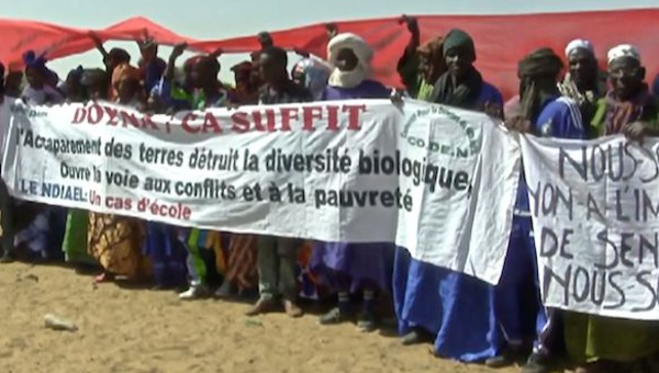 Accaparement des terres : la résistance des paysans africains (webdocumentaire)