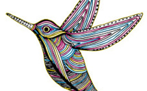 "La part du colibri" : une chronique hebdo pour s'informer et agir