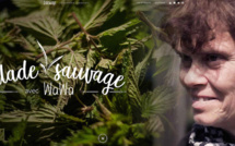 Sur la websérie Sideways : à la découverte des plantes sauvages avec Wawa