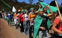 La lutte de Via Campesina en vidéo