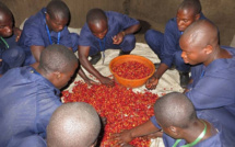 Dans le Kivu meurtri par les guerres, des milliers de paysans solidaires Dans le Kivu meurtri par les guerres, des milliers de paysans solidaires