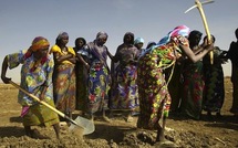 La lutte des femmes du Sahel pour manger