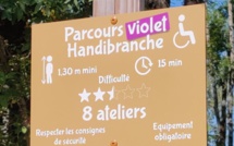 Sur Handirect, le premier parcours handibranche en France