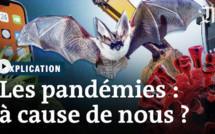 En vidéo sur Le Monde : "Les pandémies à cause de nous ?" 