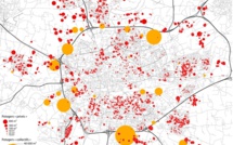 Davantage de potagers dans les villes