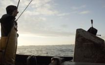 Documentaire : la lutte puis la victoire contre la pêche électrique