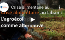 Au Liban, l'agroécologie contre la crise alimentaire 