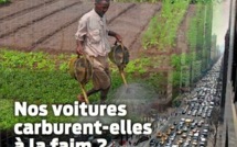 Hors-Série : « Nos voitures carburent-elles à la faim ? »