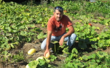 Jérôme a la nature, l’autonomie et le lien social pour horizon Jérôme a la nature, l’autonomie et le lien social pour horizon