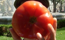 Cyprien et les artistes, activistes, utopistes de Bruxelles Cyprien et les artistes, activistes, utopistes de Bruxelles