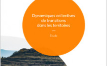 ESS : 17 dynamiques collectives à la loupe