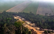 Accaparement des terres en Sierra Leone : Bolloré accusé